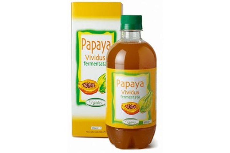 Vividus Papaya Fermentata