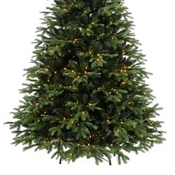 Recensione: Giulia Grillo Albero di Natale Mille e un Abete 210 cm