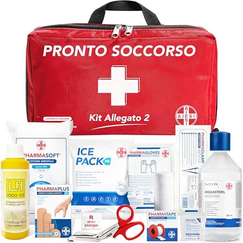 AIESI Cassetta medica di pronto soccorso