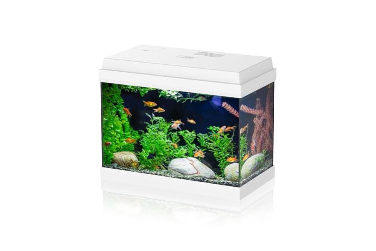 AQPET Simply LED Acquario
