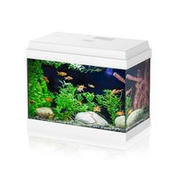 AQPET Simply LED Acquario
