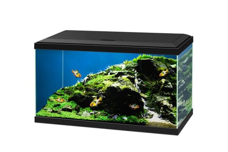 Askoll Ciano Aqua 60 LED