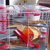 Bps Pet Shop Gabbia criceto