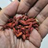 Nature Diet Bacche di Goji