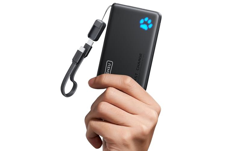 INIU Power Bank 10000mAh Powerbank