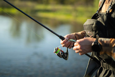Canna da pesca: guida all'acquisto