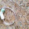 Chicco PhysioClean