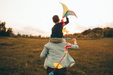 Aquilone: guida all'acquisto