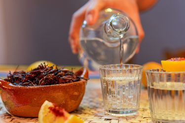 Mezcal: guida all'acquisto