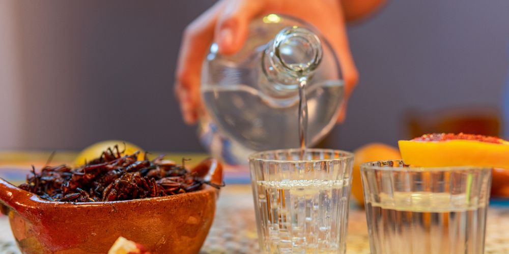 Come scegliere il mezcal: guida all'acquisto