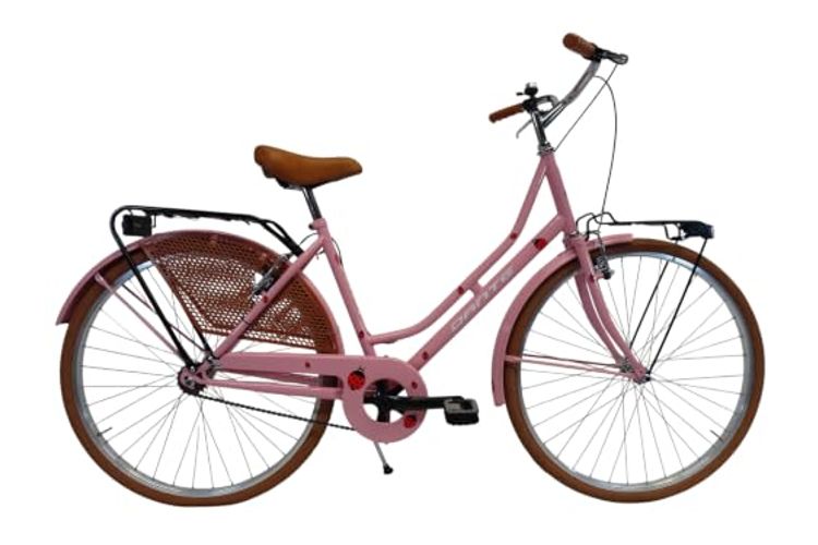 CICLI DANTE Bicicletta donna Olanda