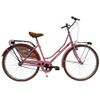 CICLI DANTE Bicicletta donna Olanda