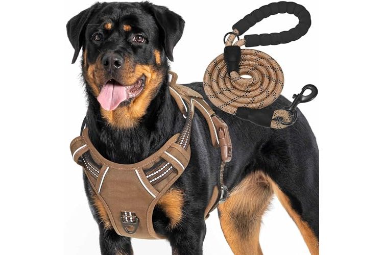 Haapaw Pettorina tattica heavy duty