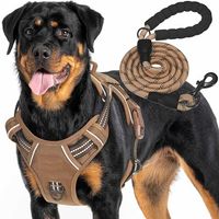 Haapaw Pettorina tattica heavy duty