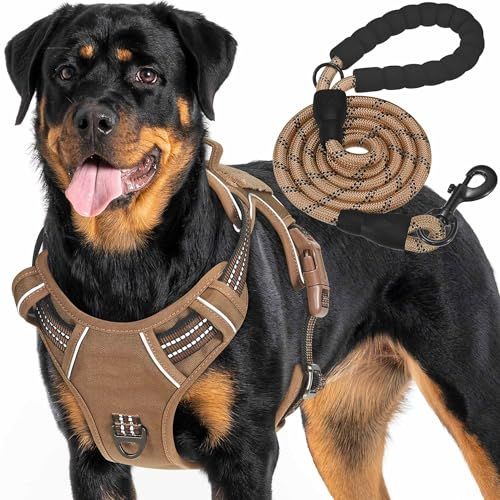 Haapaw Pettorina tattica heavy duty