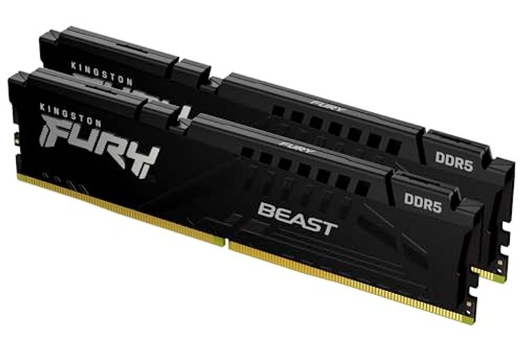 Kingston Technology FURY Beast