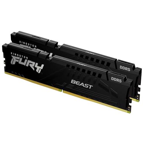 Kingston Technology FURY Beast