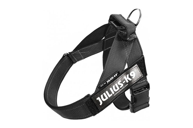 Julius K9 IDC Color & Gray