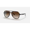 Ray-Ban Pilot RB4376