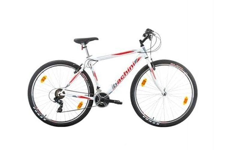 Multibrand, PROBIKE PRO 29