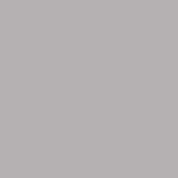 Rollerblade TWISTER 110