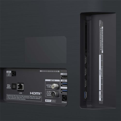 LG OLED evo G5 48