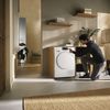 Miele Asciugatrice pompa di calore 8 kg TWC660WP 125 Edition