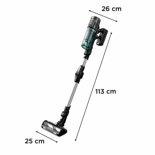 Rowenta X-Force Flex 13.60 Allergy