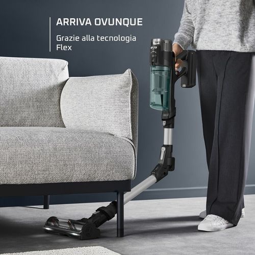 Rowenta X-Force Flex 13.60 Allergy