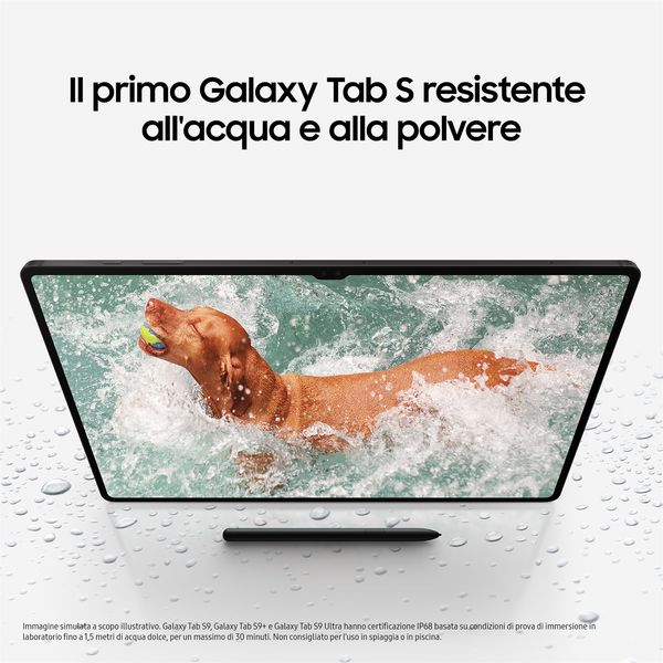 Samsung Galaxy Tab S9 128 GB