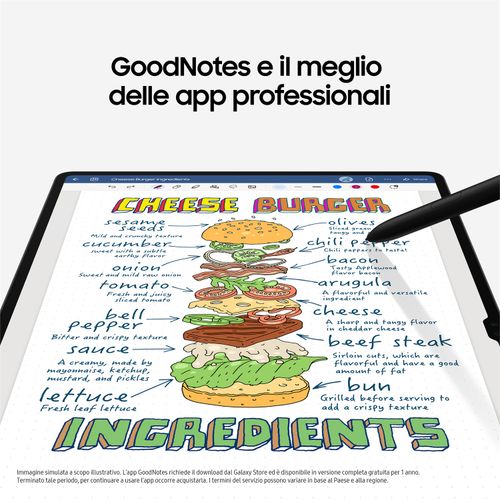 Samsung Galaxy Tab S9+ 256 GB con S Pen