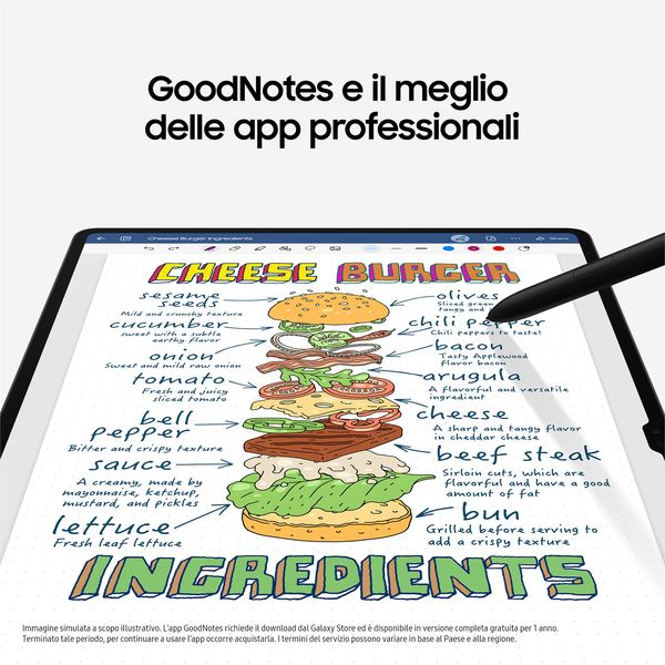 Samsung Galaxy Tab S9+ 256 GB con S Pen