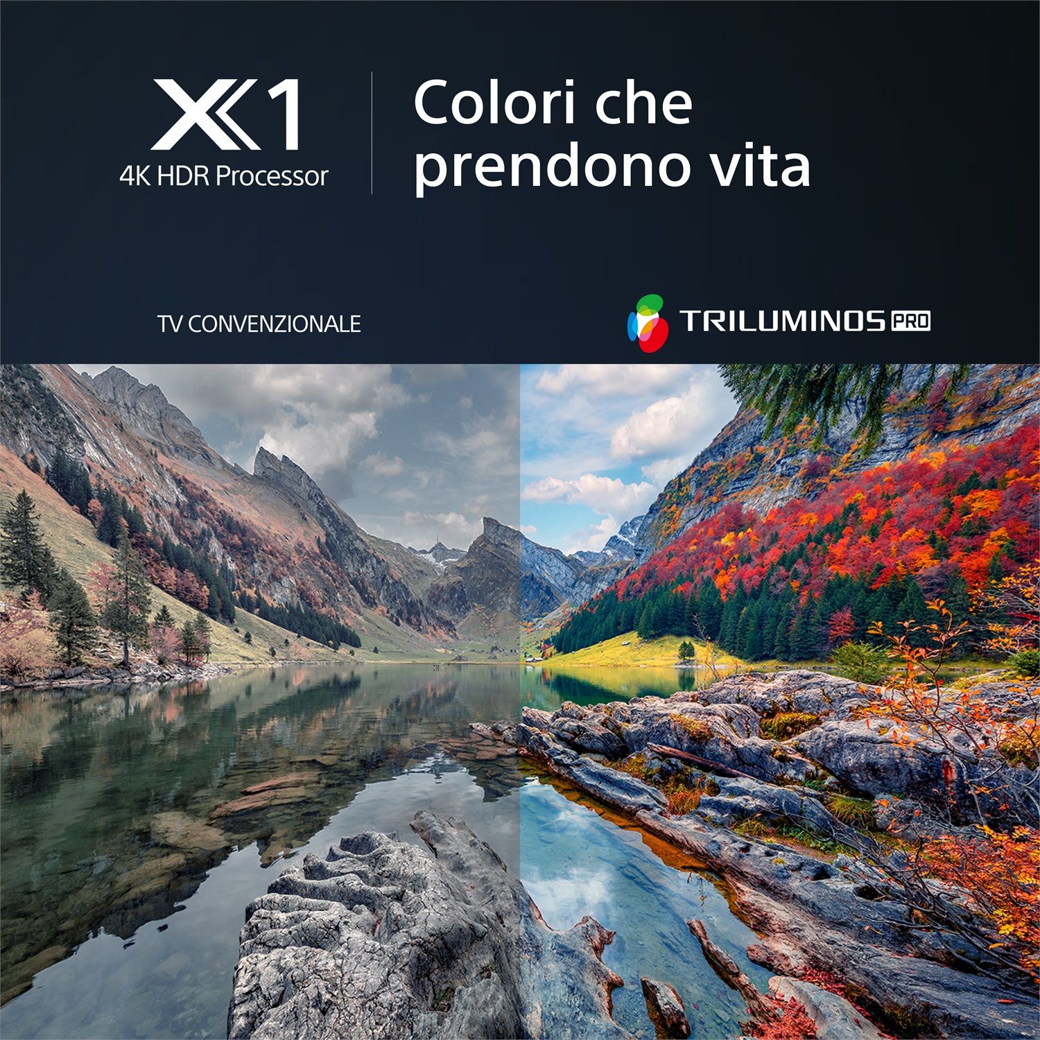 Sony BRAVIA X80L 65" (KD-65X80L)