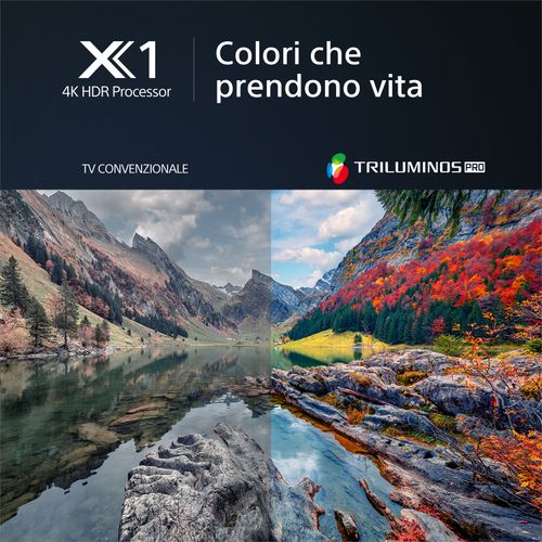 Sony BRAVIA X80L 65" (KD-65X80L)