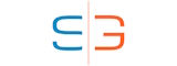 sinergeek