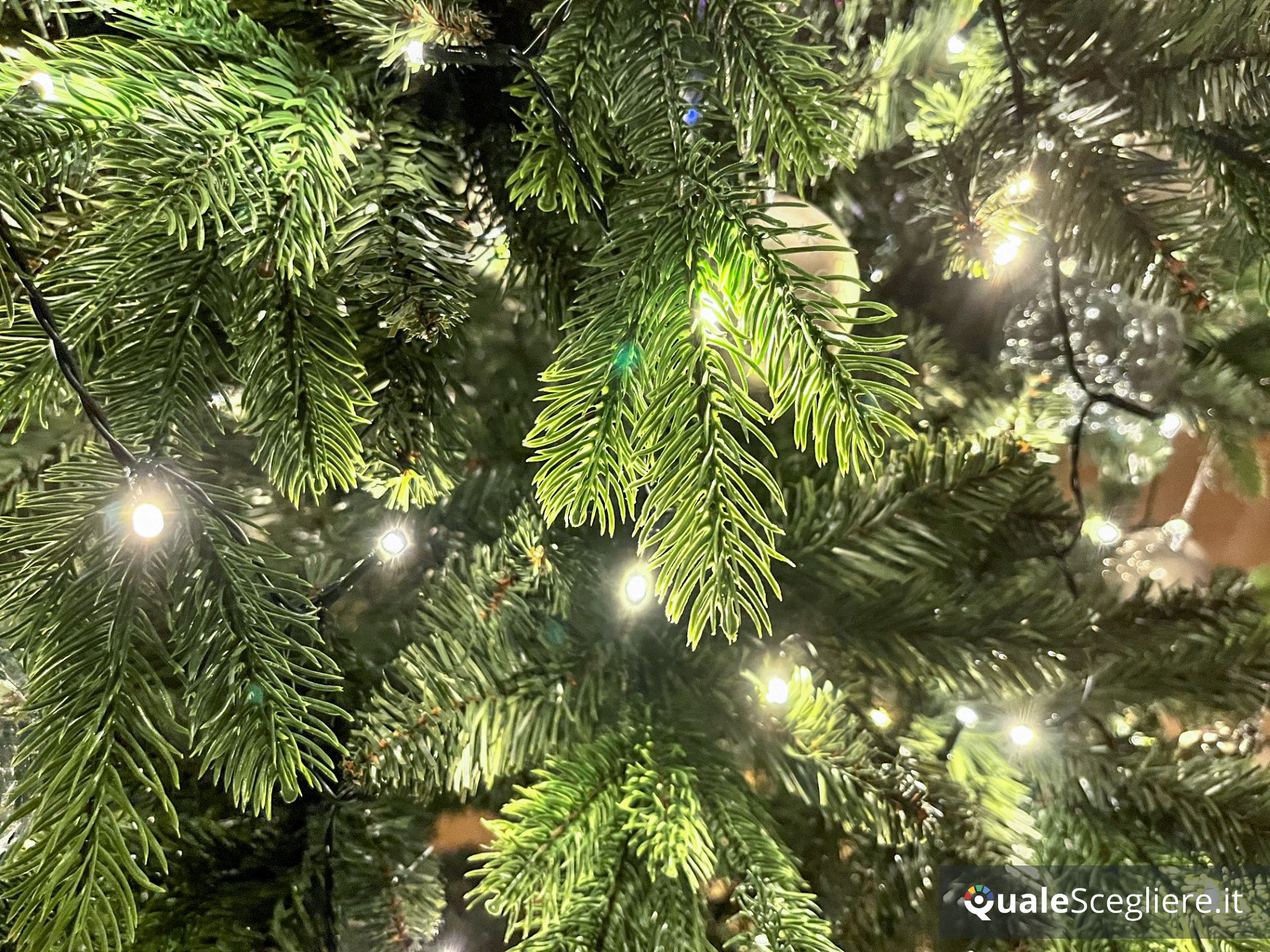 Giulia Grillo Albero di Natale Folto Verde 210 cm