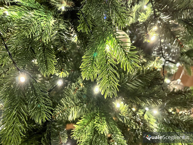 Giulia Grillo Albero di Natale Folto Verde 210 cm