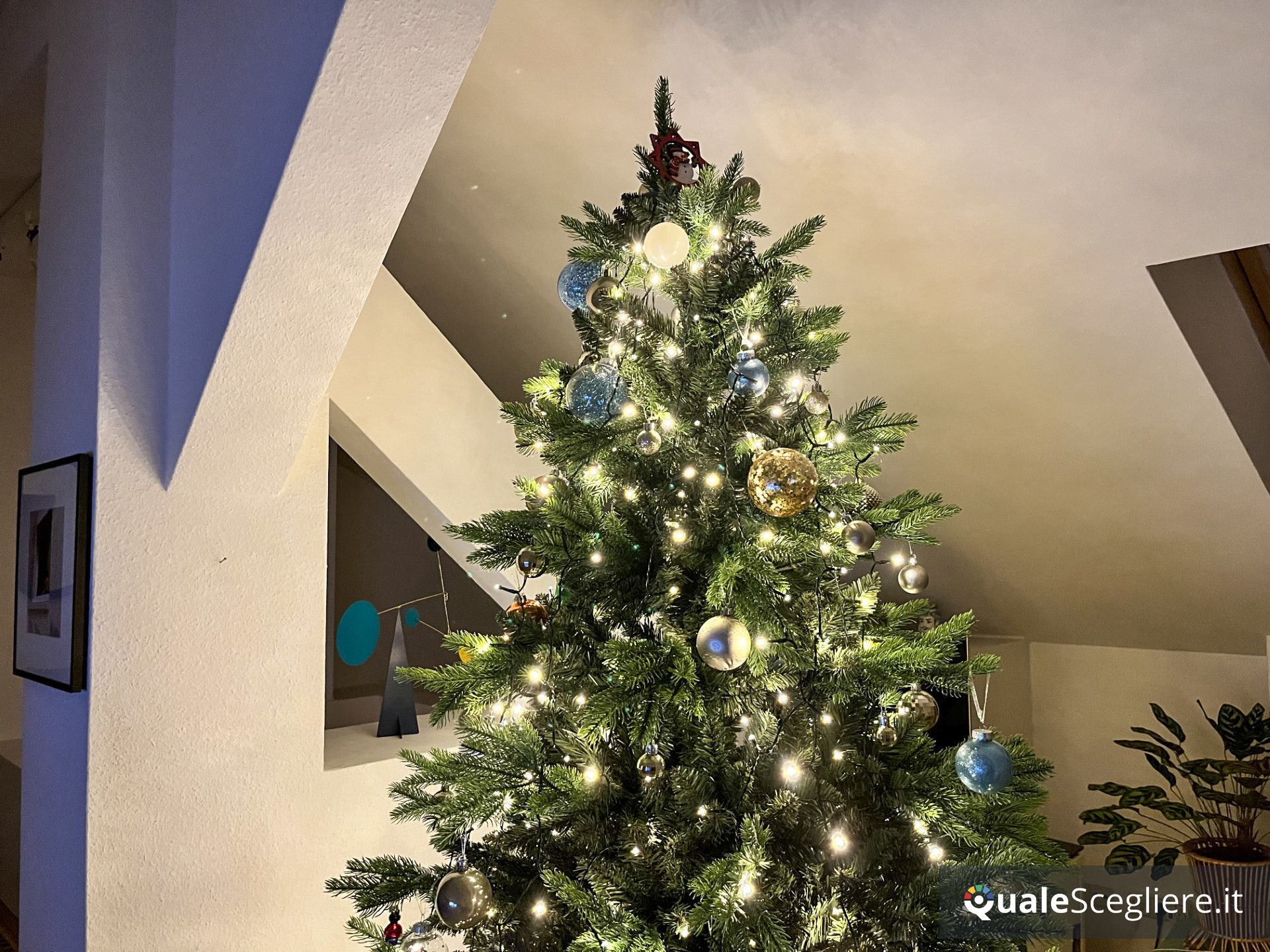 Giulia Grillo Albero di Natale Folto Verde 210 cm