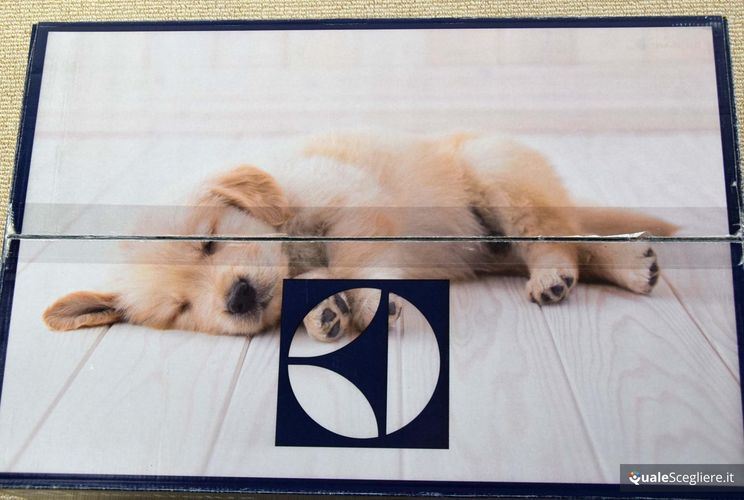 Electrolux ZSPParkett Silent Performer