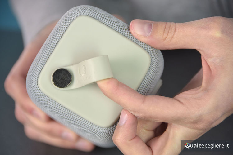 Fresh n Rebel Rockbox Bold M