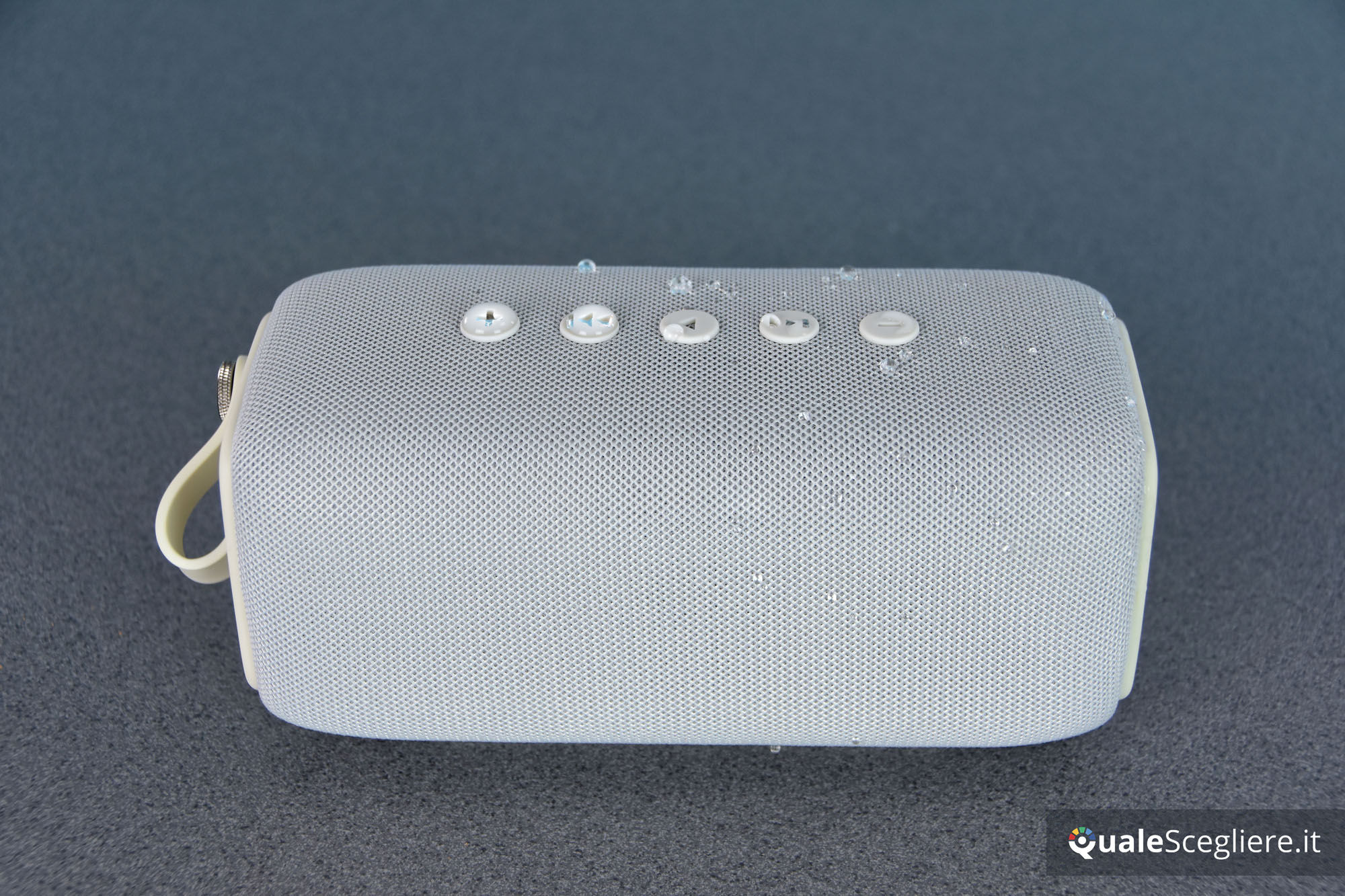Fresh n Rebel Rockbox Bold M
