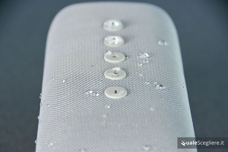 Fresh n Rebel Rockbox Bold M