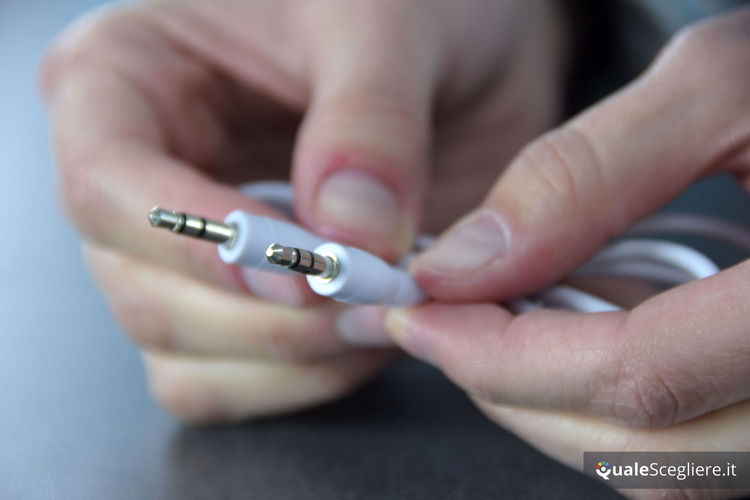 Fresh n Rebel Rockbox Bold M