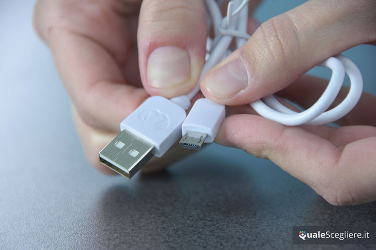 Fresh n Rebel Rockbox Bold M