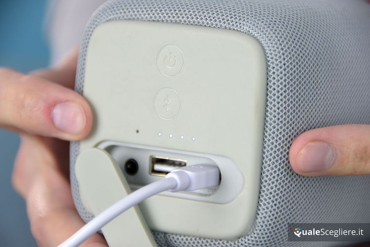 Fresh n Rebel Rockbox Bold M