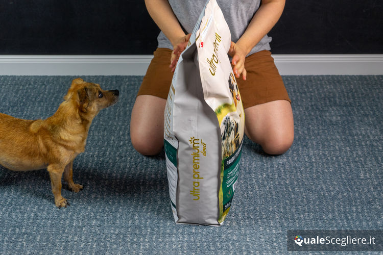 Ultra Premium Direct Agnello senza cereali per cani adulti sensibili 12 kg