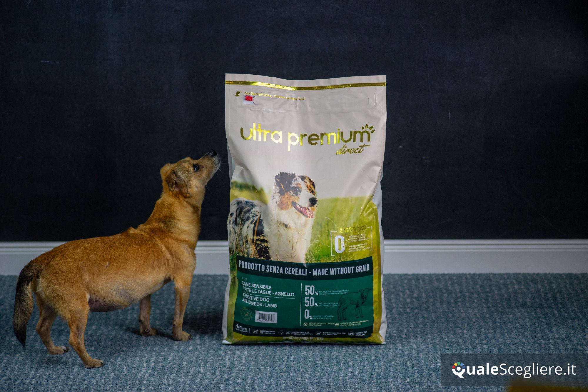 Ultra Premium Direct Agnello senza cereali per cani adulti sensibili 12 kg