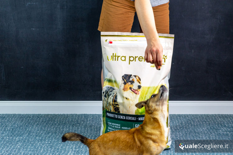 Ultra Premium Direct Agnello senza cereali per cani adulti sensibili 12 kg