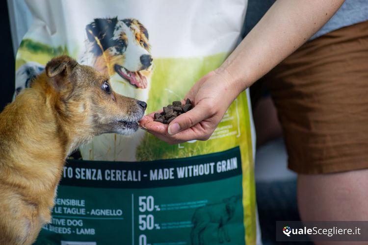 Ultra Premium Direct Agnello senza cereali per cani adulti sensibili 12 kg