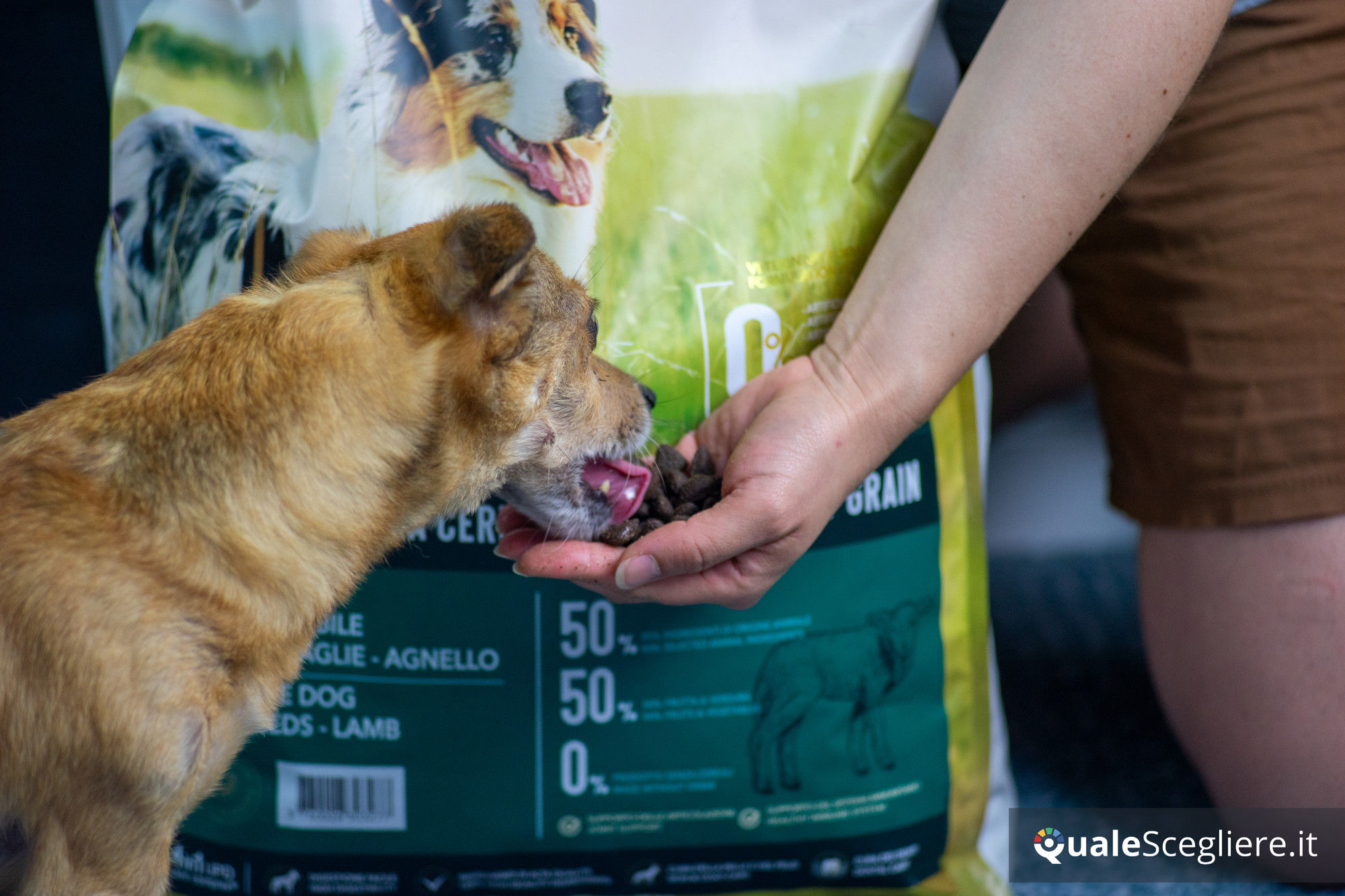 Ultra Premium Direct Agnello senza cereali per cani adulti sensibili 12 kg